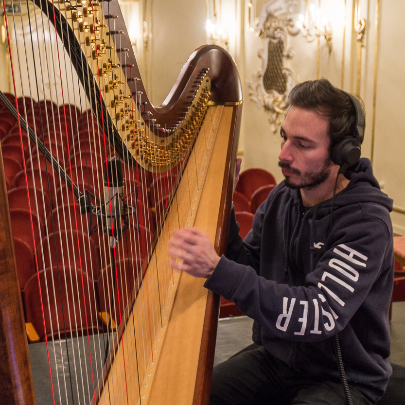 Harp recording
